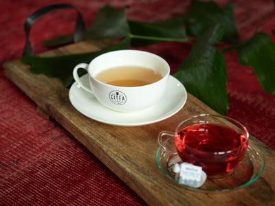 The art of serving and enjoying fresh tea: discover the traditions!